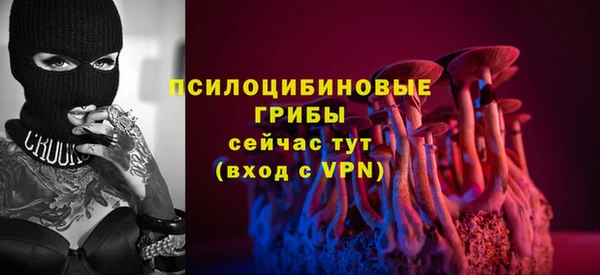 молекула духа Алзамай