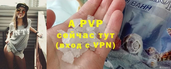 сатива Киреевск