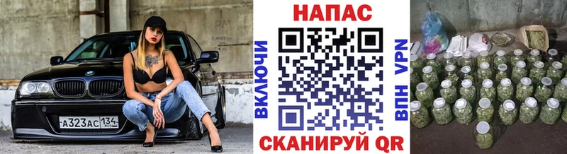 Конопля Bruce Banner  где продают   Межгорье 